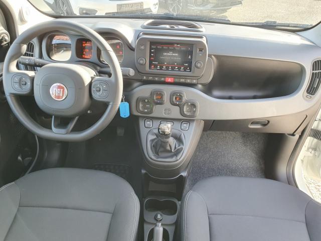Fiat Panda My23 1.0 70 ch Hybride Bsg s/S Cross