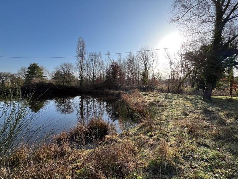 Terrain de loisirs - 10 895 m²