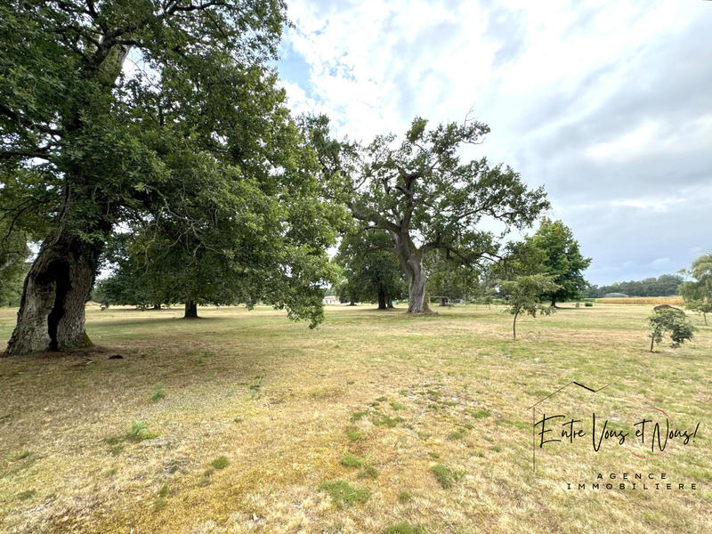 Maison ancienne - 168 m² - 5 pièces