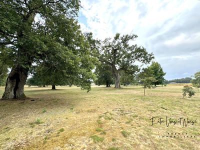 Maison ancienne - 168 m² - 5 pièces