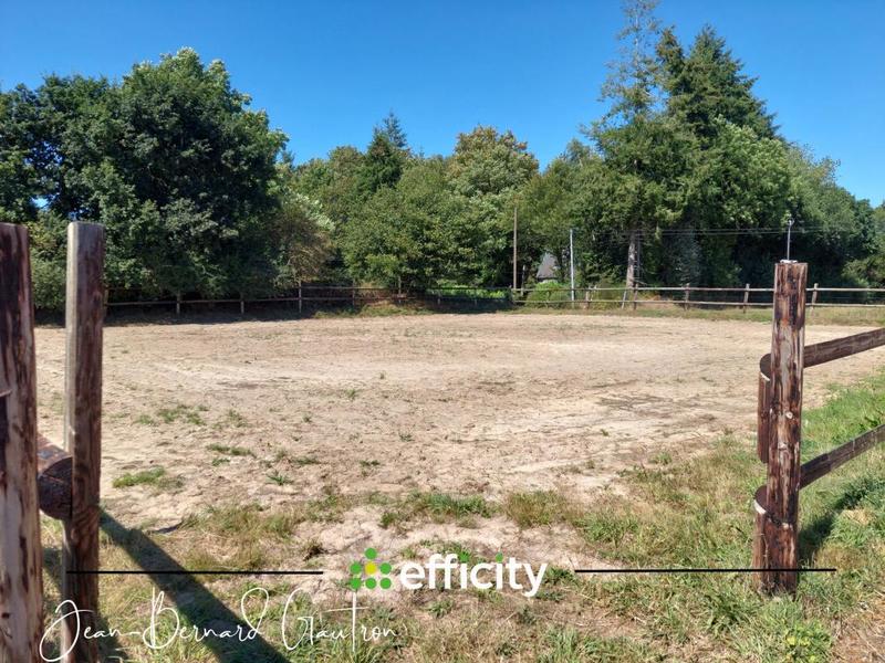 Maison de domaine équestre - 99 m² - 3 pièces