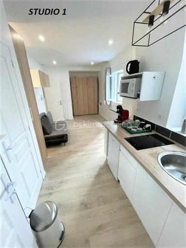 Studio - 50 m² - 2 pièces