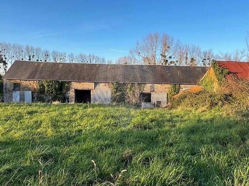 Cave / Box - 230 m²