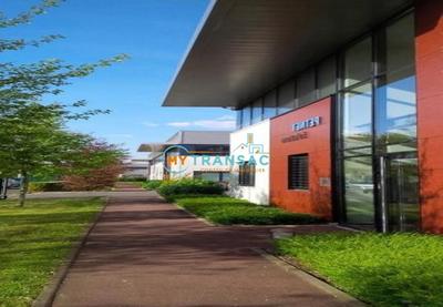 Local d'activité / Entrepôt - 717 m²