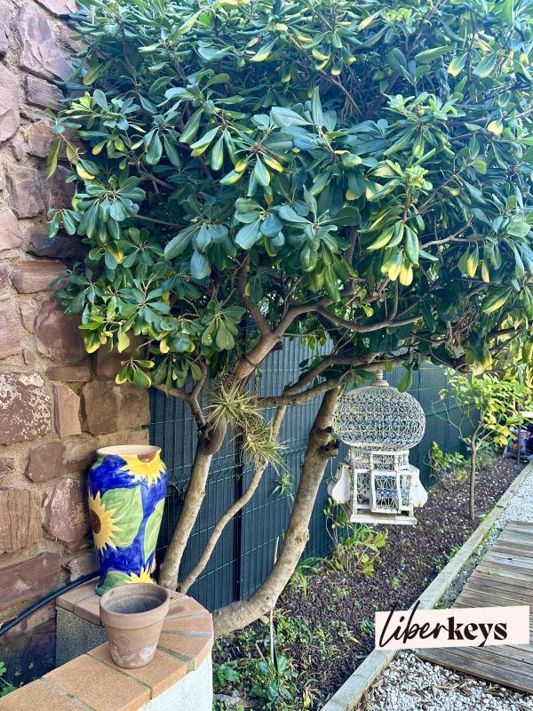 Maison - 60 m² - 3 pièces