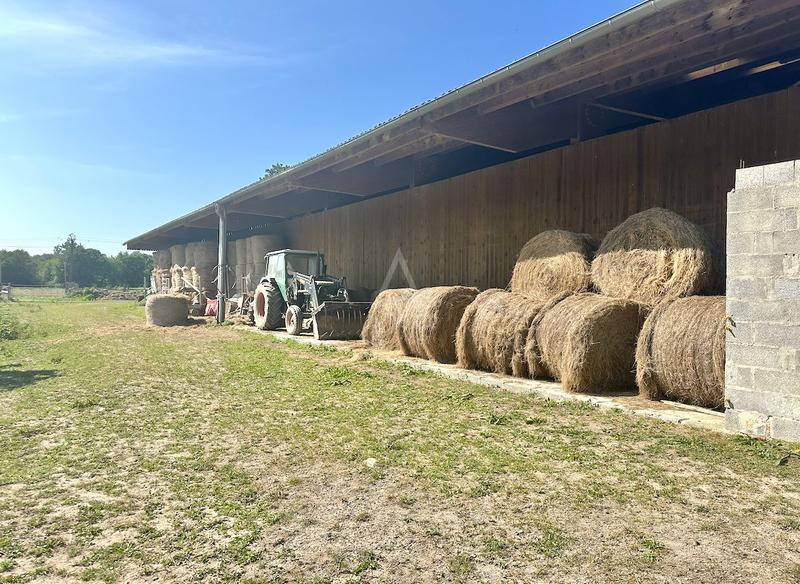 Haras - 230 m² - 8 pièces