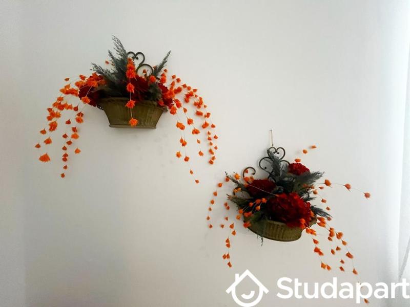 Appartement - 45 m² - 2 pièces