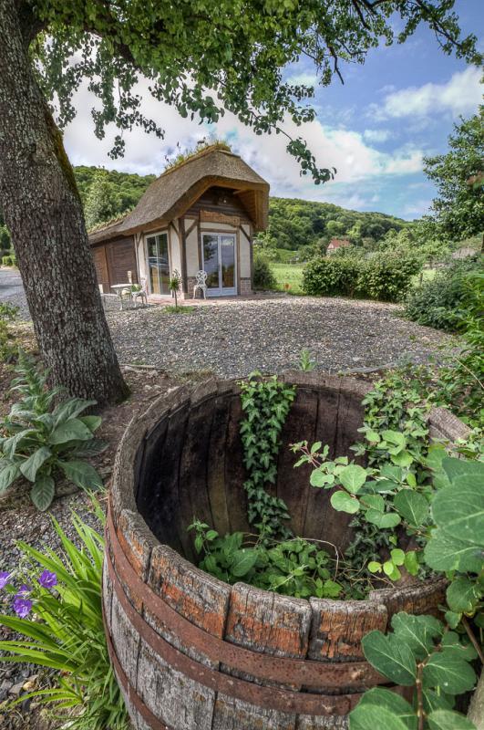 Propriété - 300 m² - 10 pièces