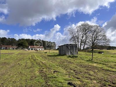 Ferme - 140 m² - 5 pièces