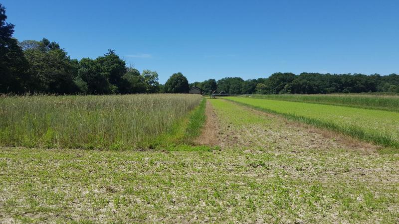 Propriété - 835 m² - 32 pièces