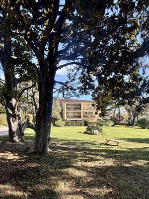 Studio - 28 m² - 1 pièce