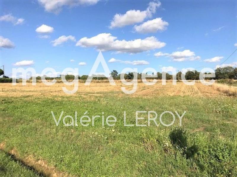 Terrain constructible - 10 228 m²