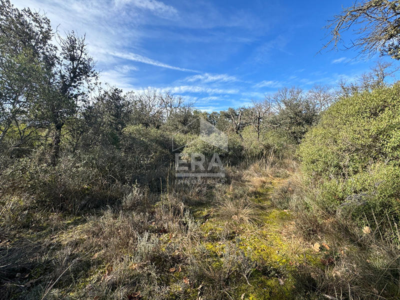 Terrain - 47 000 m²