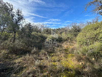 Terrain - 47 000 m²