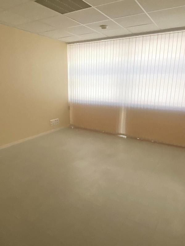 Bureau - 217 m² - 7 pièces