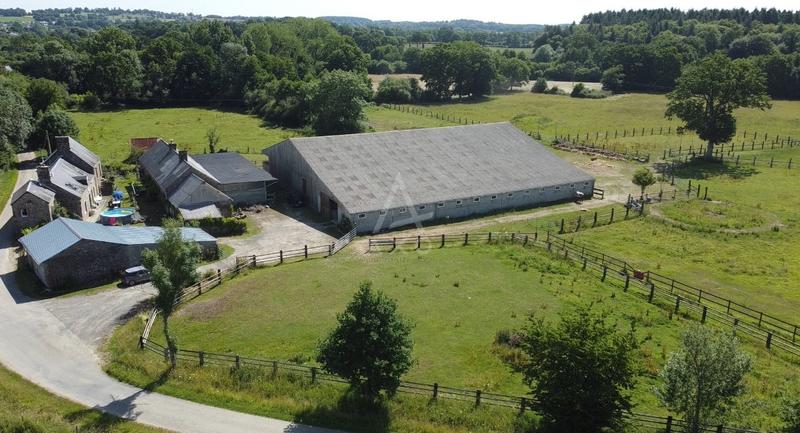 Haras - 230 m² - 8 pièces