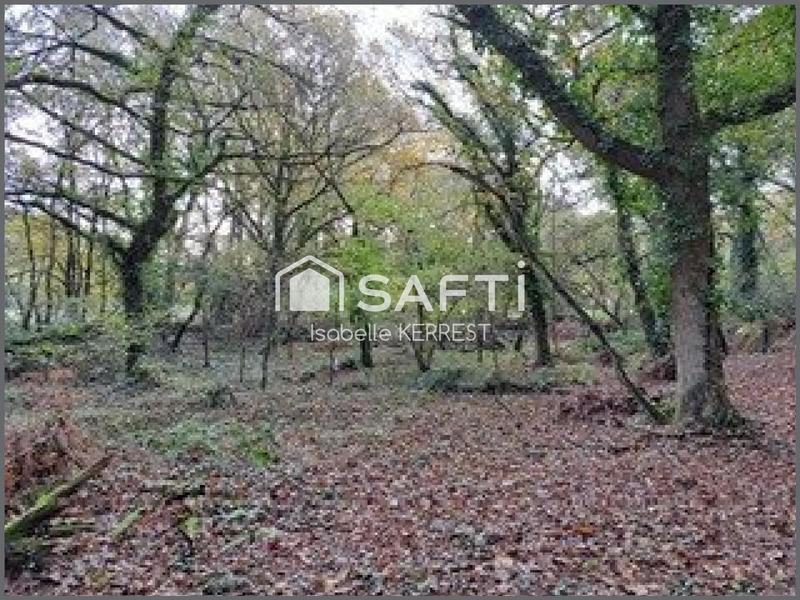 Maison - 260 m² - 8 pièces