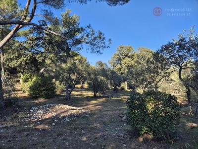 Maison - 132 m² - 6 pièces