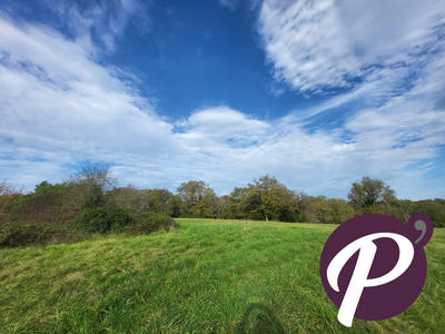 Terrain - 14 806 m²