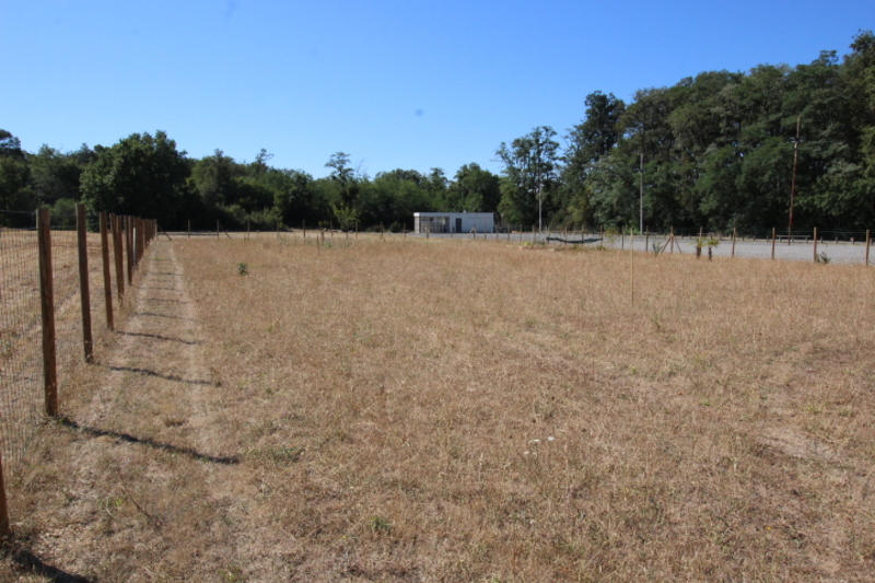 Terrain constructible - 3 601 m²