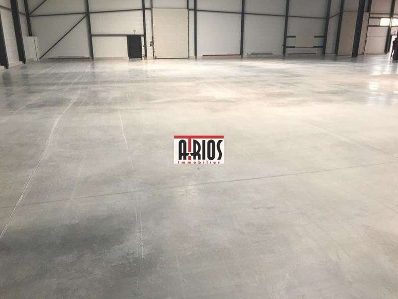 Entrepôt - 1 557 m²