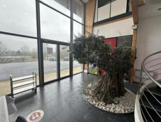 Local commercial - 3 000 m²