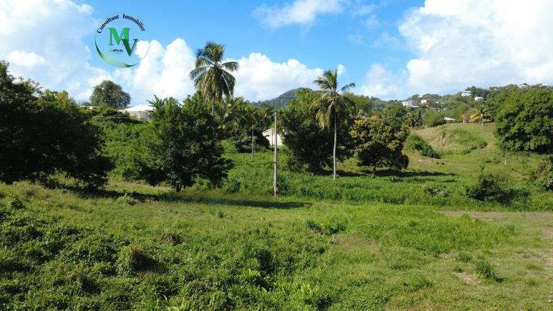 Terrain constructible - 1 241 m²