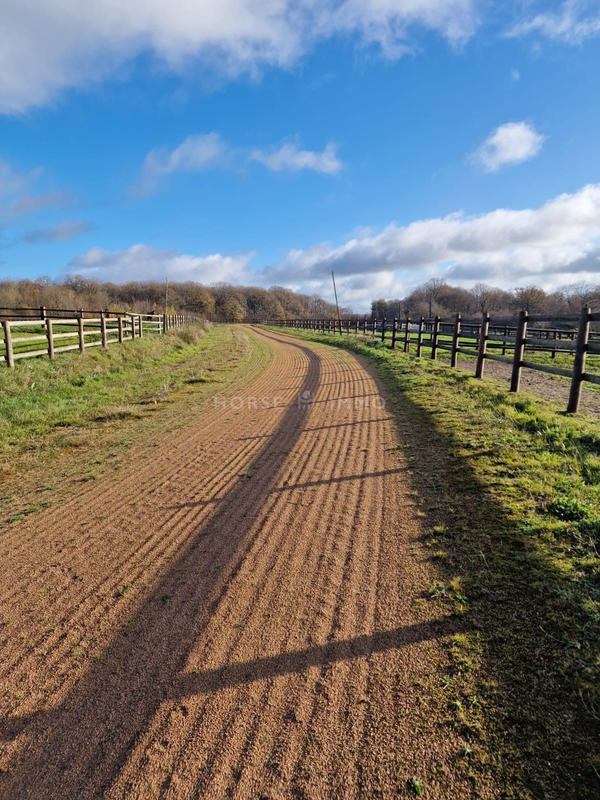 Maison - 310 m² - 7 pièces