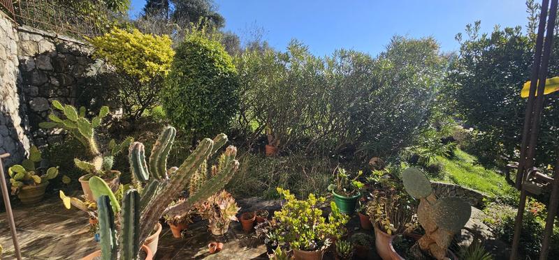 Viager - Villa - 216 m² - 8 pièces