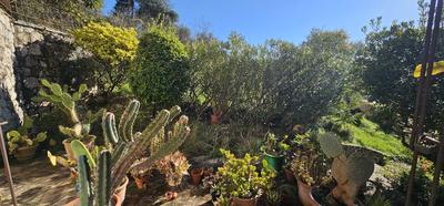 Viager - Villa - 216 m² - 8 pièces