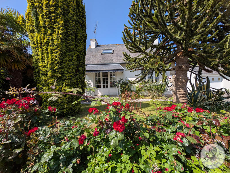 Maison - 55 m² - 3 pièces