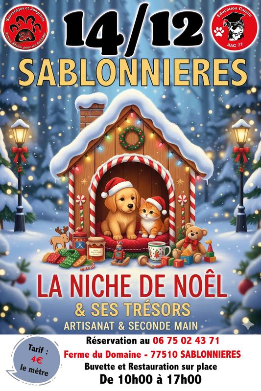 La Niche de Noel et Ses Tresors