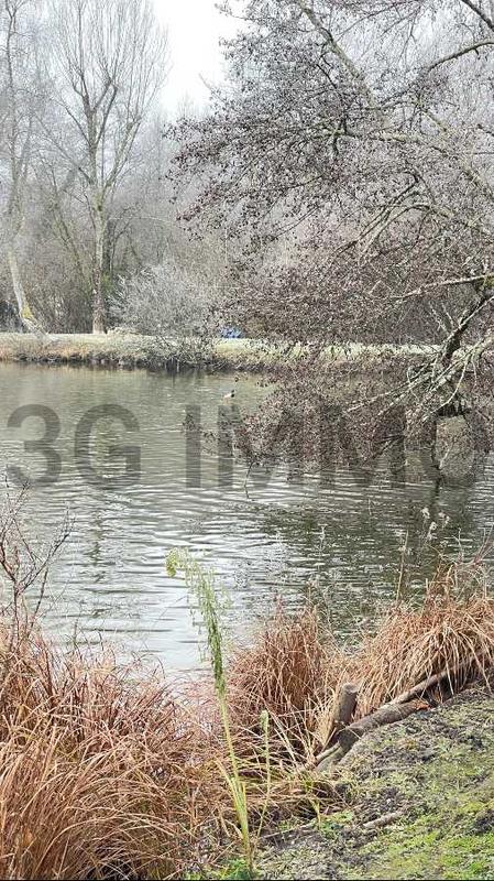 Terrain - 13 420 m²