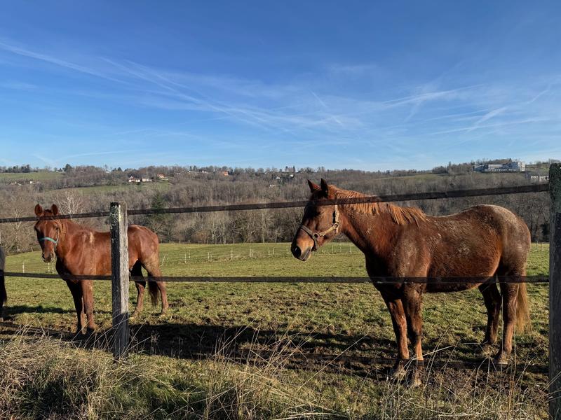 Maison - 355 m² - 15 pièces