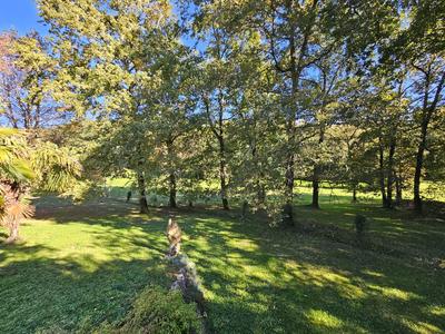 Maison contemporaine - 178 m² - 5 pièces