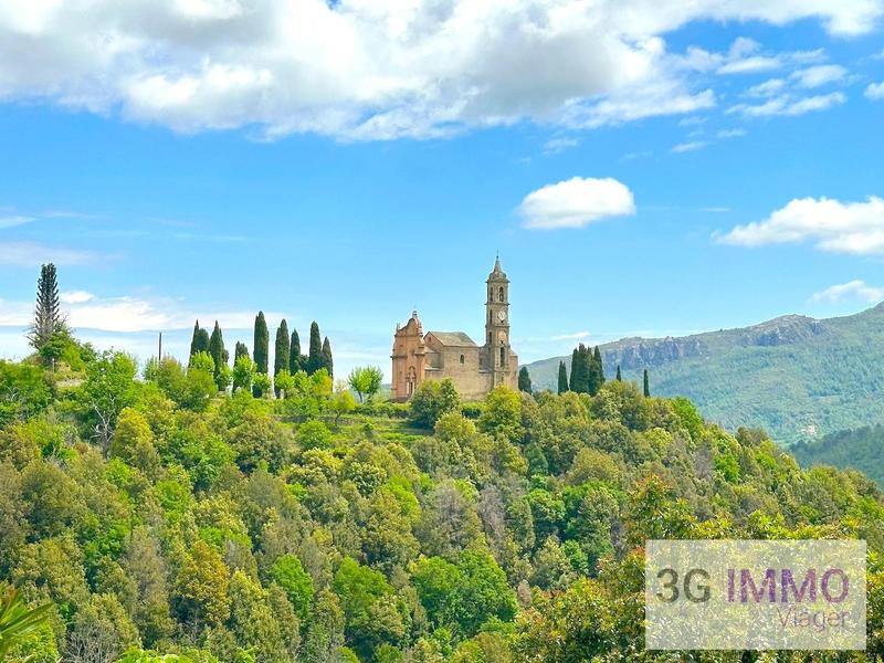 Viager - Maison de village - 59 m² - 4 pièces