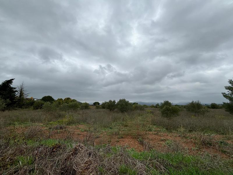 Terrain agricole - 12 476 m²