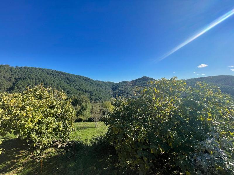 Maison provençale - 220 m² - 9 pièces