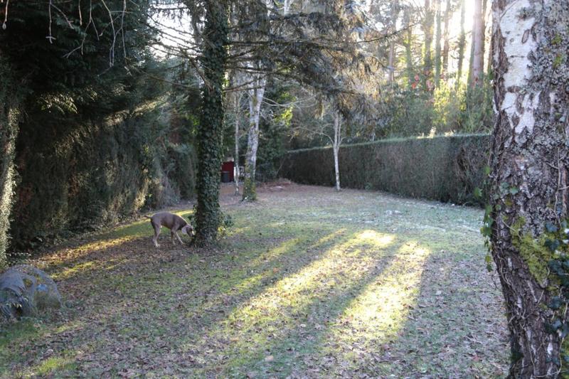 Maison traditionnelle - 198 m² - 5 pièces