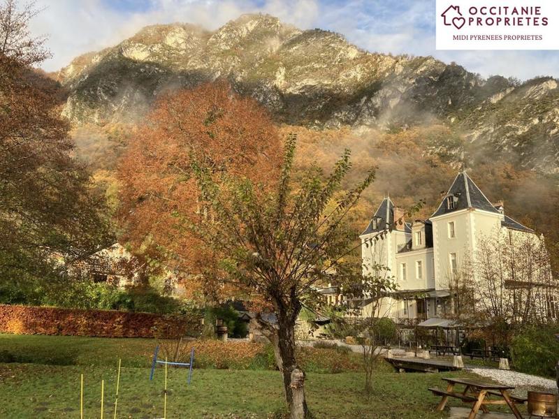 Château - 810 m² - 11 pièces