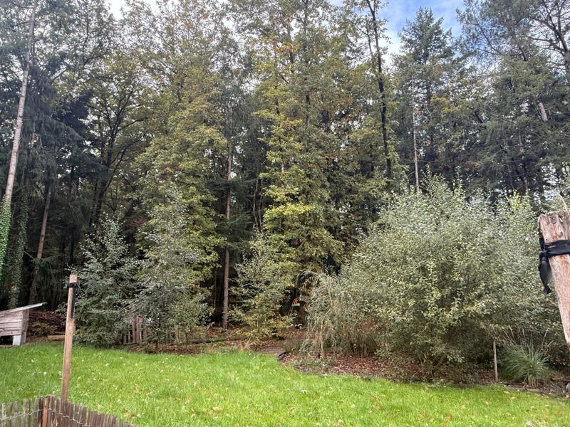 Maison - 136 m² - 7 pièces