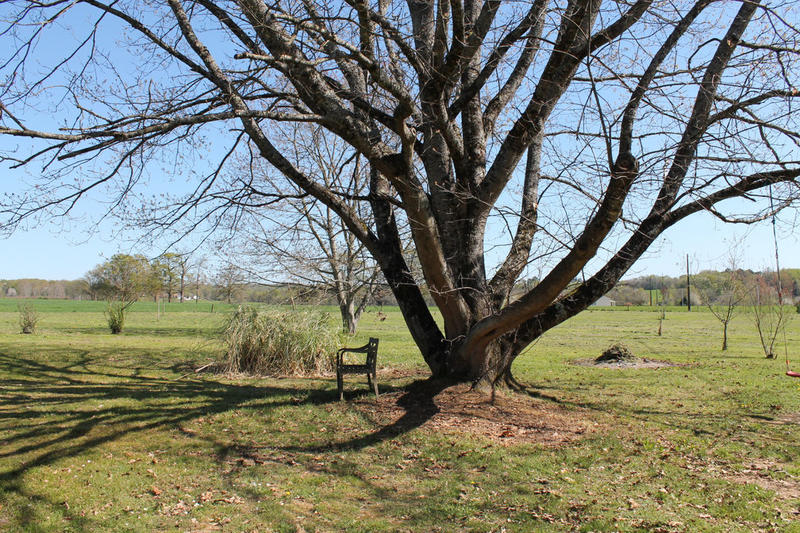 Maison de campagne - 139 m² - 8 pièces