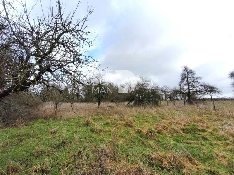 Maison de campagne - 120 m² - 7 pièces