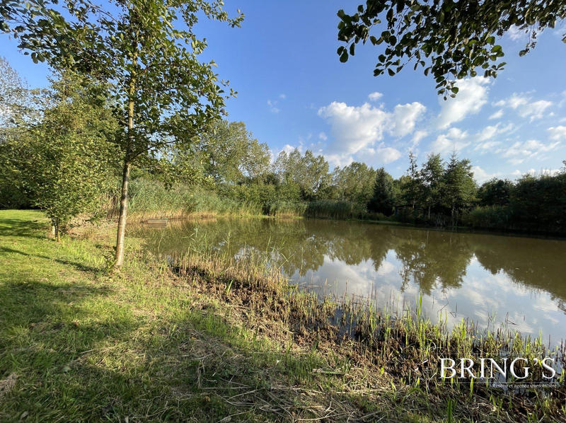 Terrain de loisirs - 47 800 m²