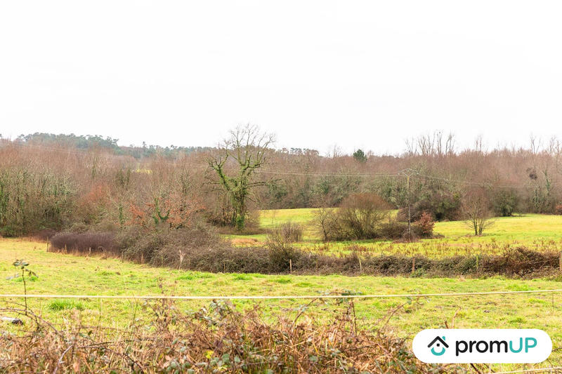 Terrain agricole - 50 040 m²