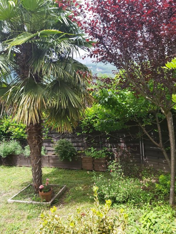 Maison - 146 m² - 5 pièces