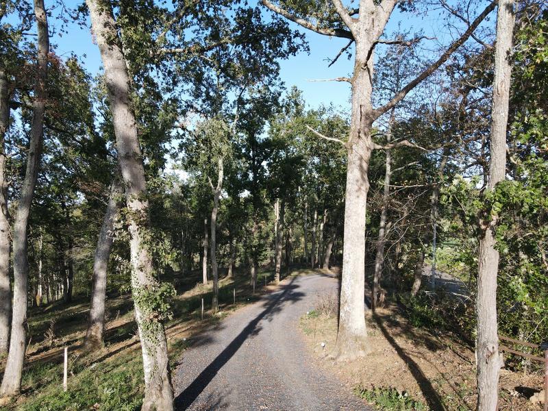 Maison - 274 m² - 8 pièces