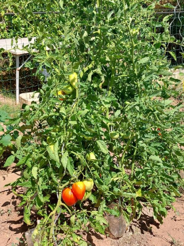 Villa - 86 m² - 4 pièces