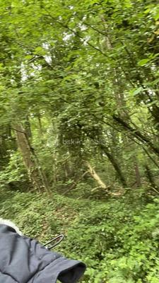 Terrain de loisirs - 1 900 m²