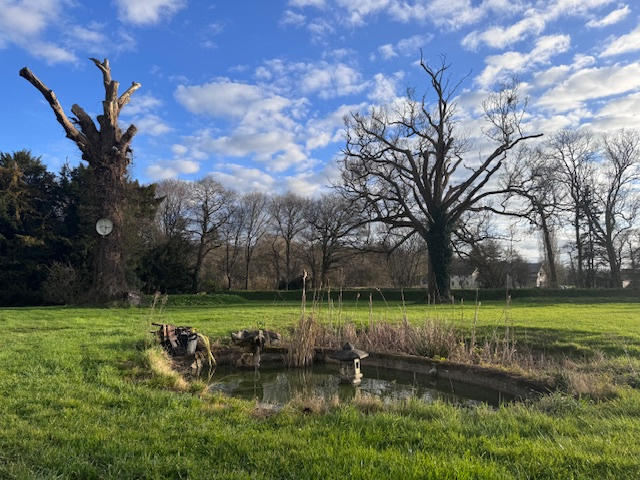 Manoir - 400 m² - 12 pièces